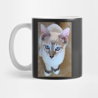 Amigo Mug